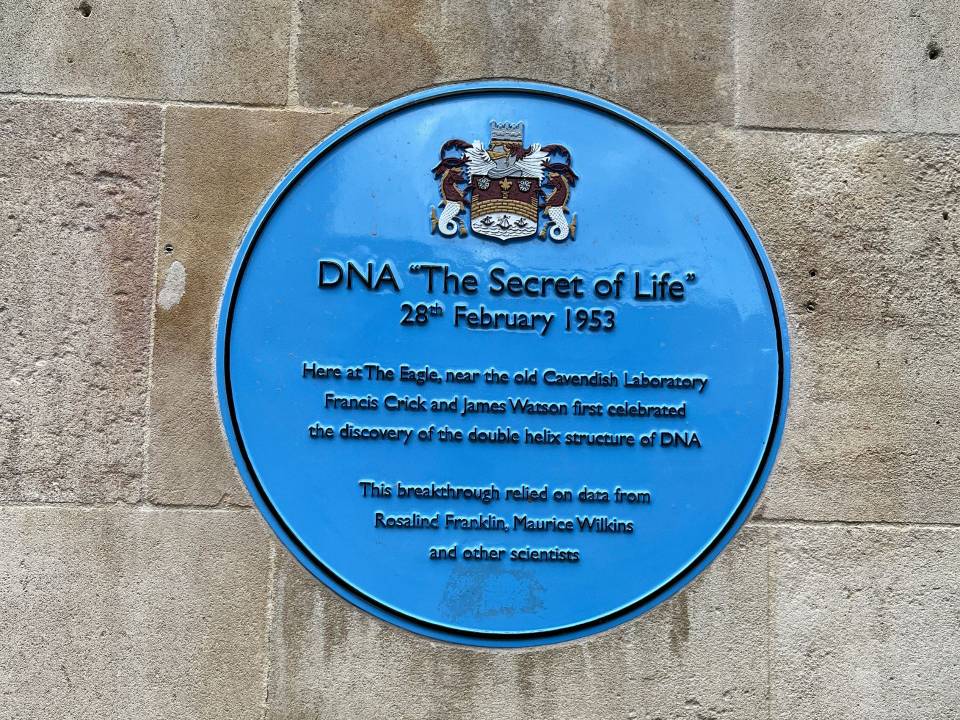 Photograph of the blue plaque to DNA. The inscription reads "Here at the Eagle, near the old Cavendish Laboratory Francis Crick and James Watson first celebrated the discovery of the double helix structure of DNA."