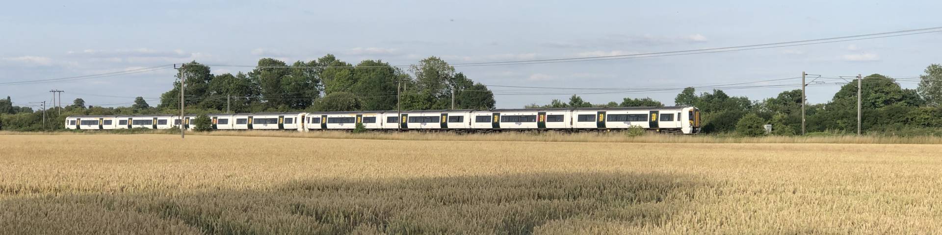Photograph of a Great Northern train traversing a wheat field.