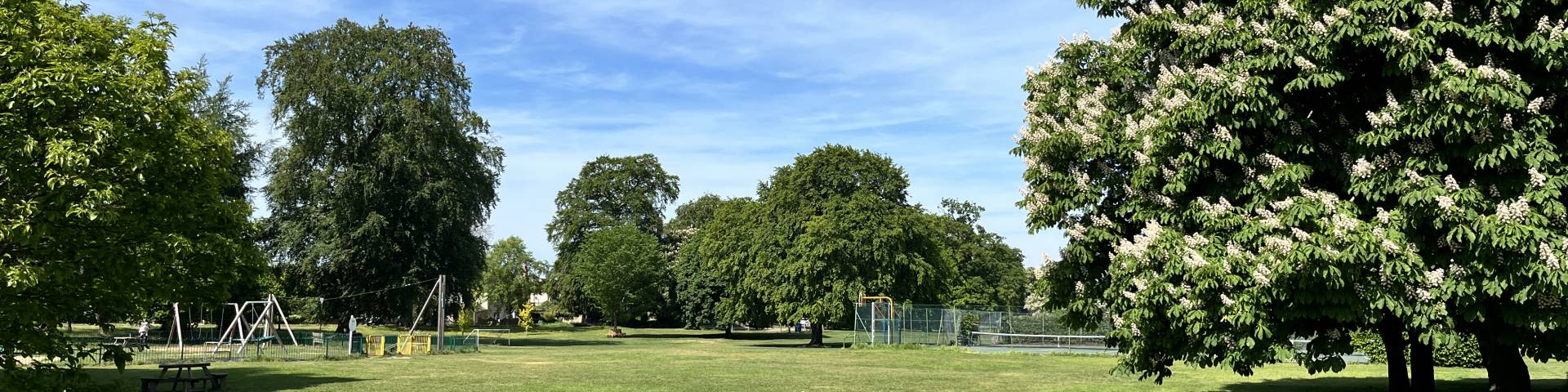 A photograph of The Lawn, a park in Whittlesford. The sky is blue and the trees are in full leaf
