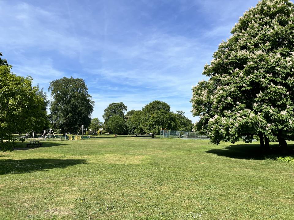 A photograph of The Lawn, a park in Whittlesford. The sky is blue and the trees are in full leaf