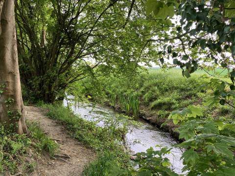 Photograph of a chalk stream, there is a walking path to the left