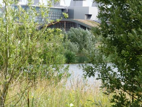 A photograph of Cambridge South Station taken from across the lake at Hobson's Park