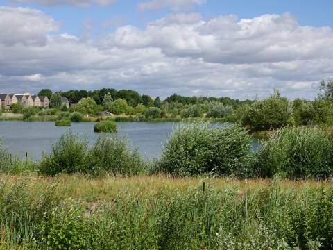 A photograph of the lake at Hobson's Park