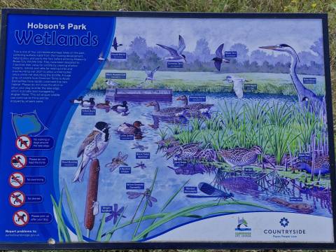 A photograph of the interpretation board in Hobson's Park featuring wildlife such as a Reed Bunting, dragonflies, a heron and other water birds.